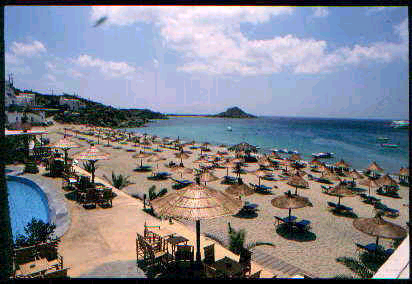 Platys Gialos Beach Mykonos